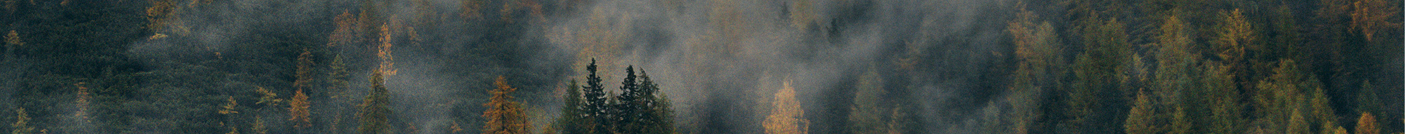 Running tights women