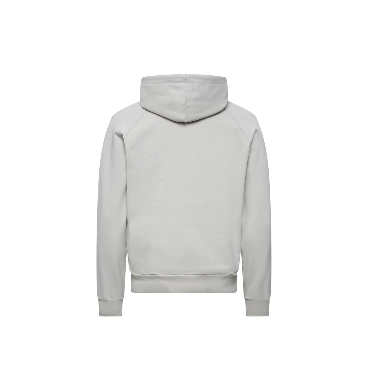 Rhythm Hooded Sweater Men "Icon"