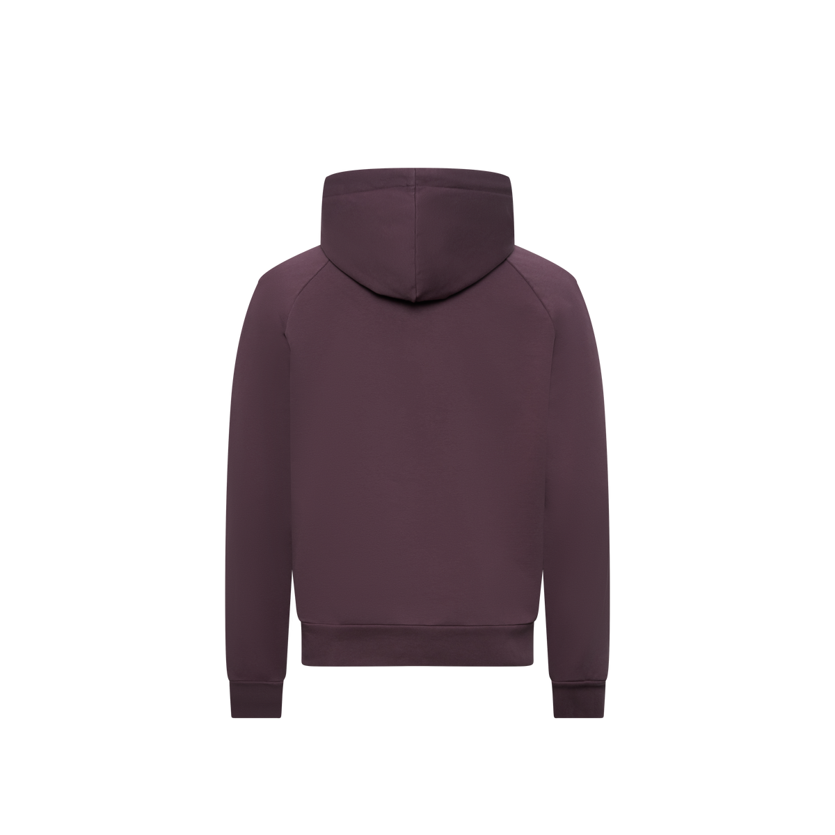 Rhythm Hooded Sweater Men "Icon"