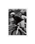 Fine Art Print Shared Motion Variant Image